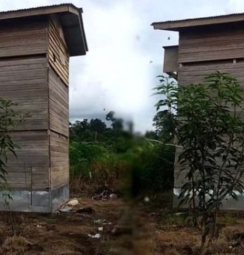 Kesalahan Umum dalam Pengelolaan Rumah Walet