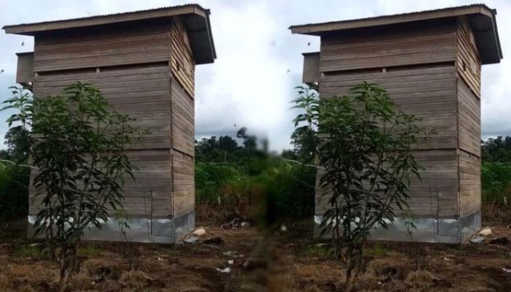 Kesalahan Umum dalam Pengelolaan Rumah Walet