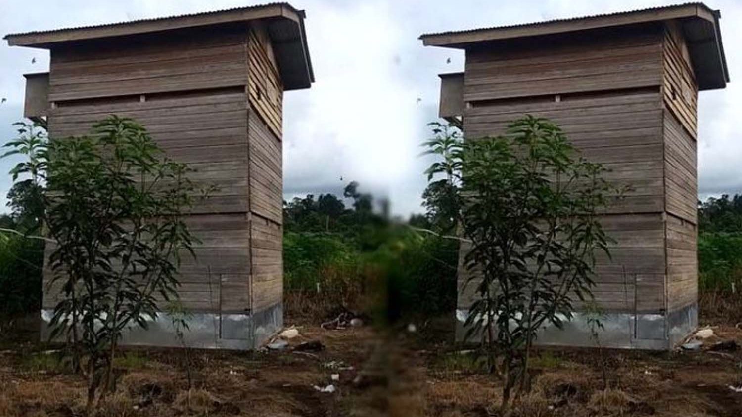 Kesalahan Umum dalam Pengelolaan Rumah Walet