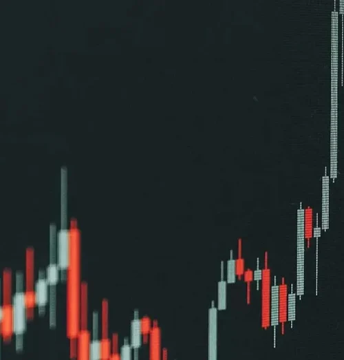 Tren Kenaikan Saham Perusahaan Sarang Walet dan Implikasinya bagi Investor Publik