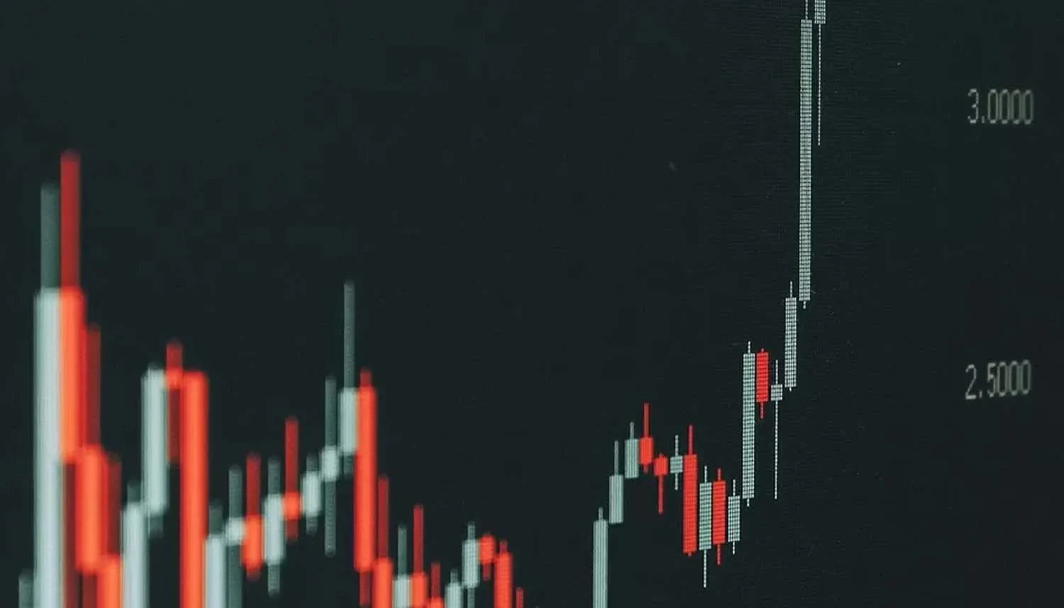 Tren Kenaikan Saham Perusahaan Sarang Walet dan Implikasinya bagi Investor Publik