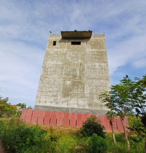 rumah burung walet